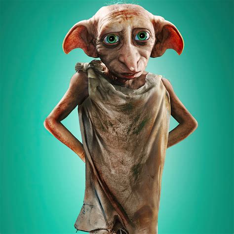 dobby the house elf harry potter|dobby the house elf images.